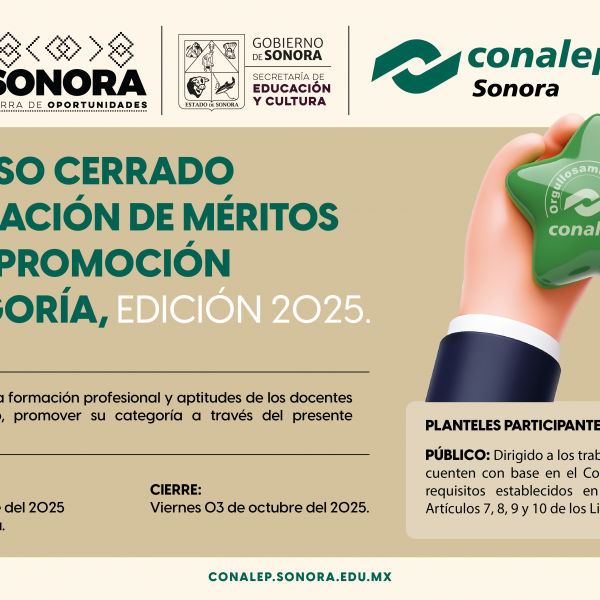 CONCURSO CERRADO DE EVALUACIÓN DE MÉRITOS PARA LA PROMOCIÓN DE CATEGORÍA, EDICIÓN 2025